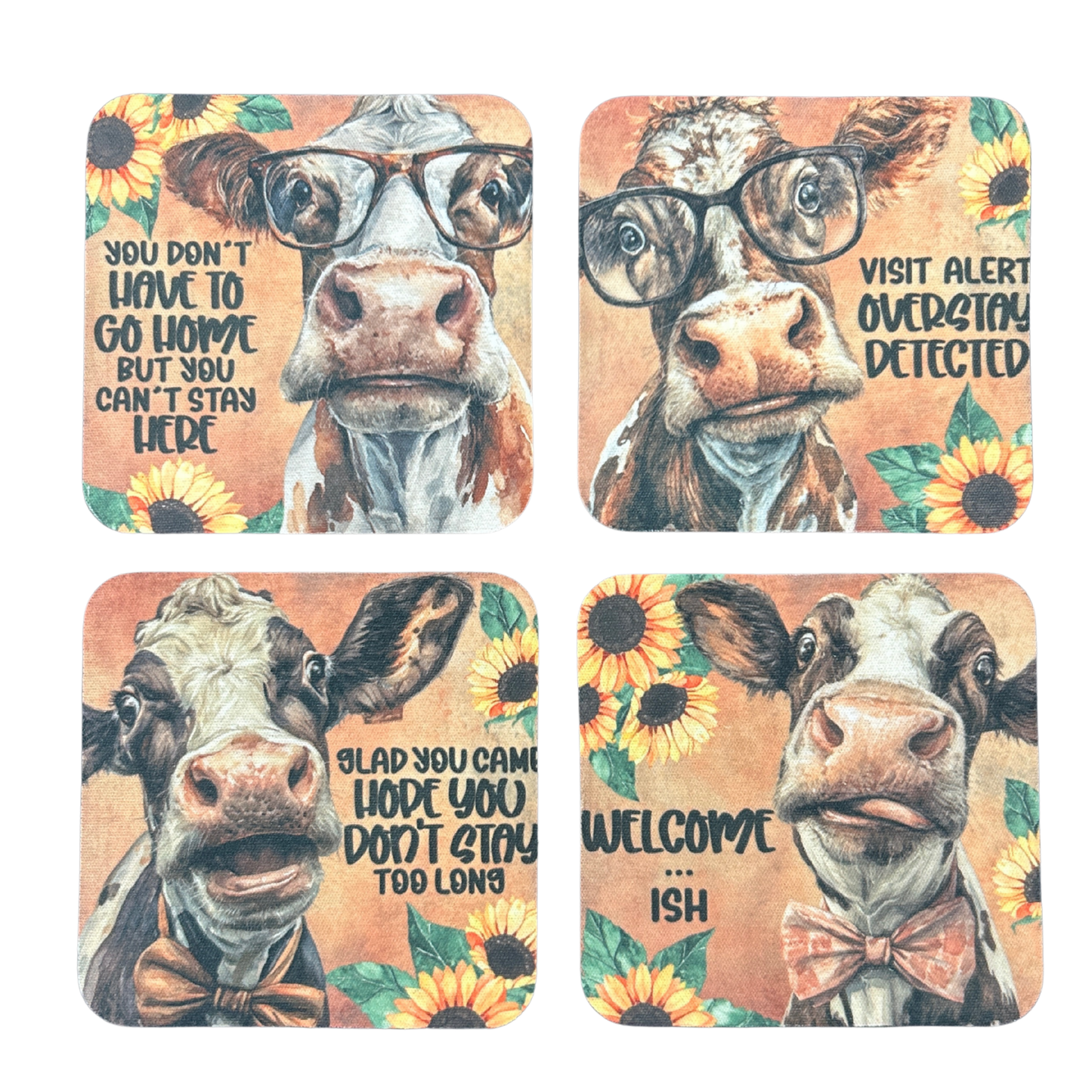 Sassy cows